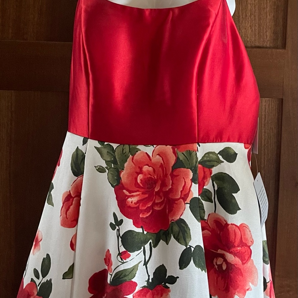 Floral Red and White Women’s Dress with Lace Up back floral skirt Nordstrom 17